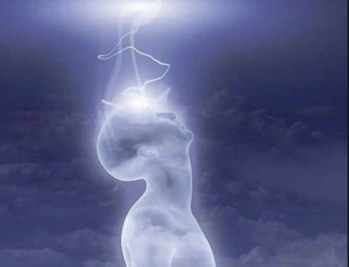 Un regard sur l’ EGO * L’existence de l’Homme est intimement lié à la Conscience de Soi.